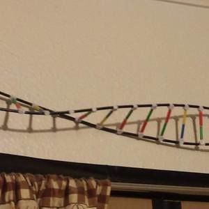 Meet your Posher, Evelyn